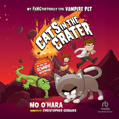 Cats in the Crater