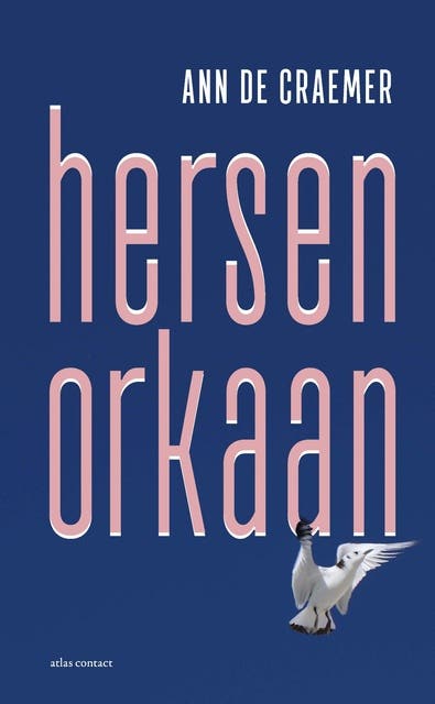 Hersenorkaan – omslag van het luisterboek van Ann De Craemer