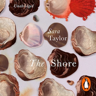 The Shore – omslag til lydbogen af Sara Taylor