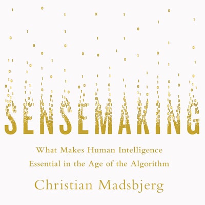 Sensemaking – omslag til lydbogen af Christian Madsbjerg