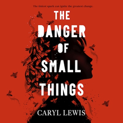 The Danger of Small Things – omslag til lydbogen af Caryl Lewis