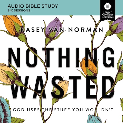 Nothing Wasted: Audio Bible Studies