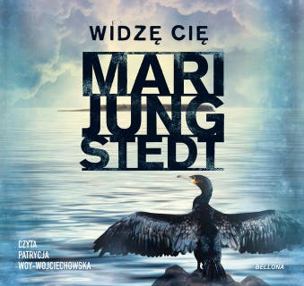 Widzę cię – okładka audiobooka, autor Mari Jungstedt