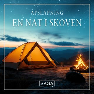 En nat i skoven – omslag til lydbogen af Rasmus Broe