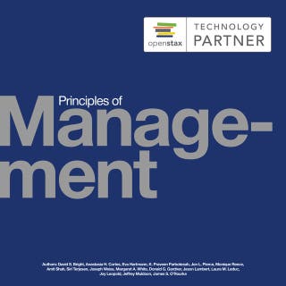 Principles of Management: (OpenStax Audio Textbook)