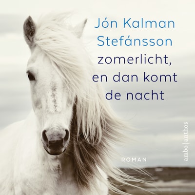 Zomerlicht, en dan komt de nacht