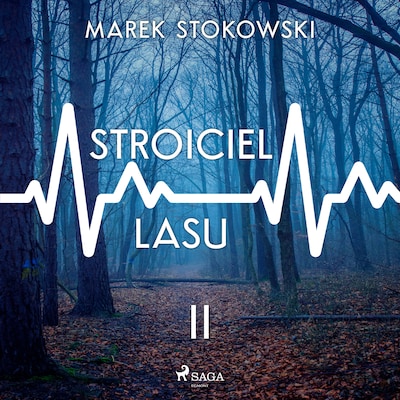 Stroiciel lasu – okładka audiobooka, autor Marek Stokowski