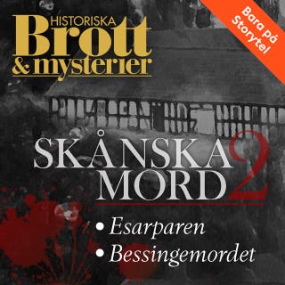 Skånska mord 2