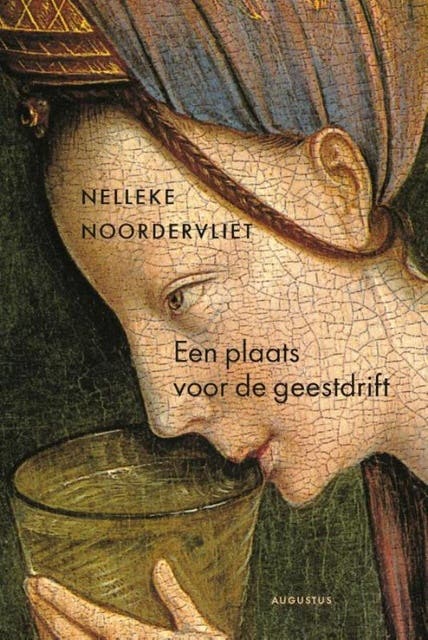 Een plaats voor de geestdrift – omslag van het luisterboek van Nelleke Noordervliet