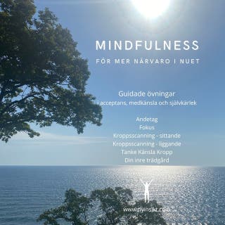 Mindfulness : för mer närvaro i nuet
