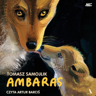 Ambaras – okładka audiobooka, autor Samojlik Tomasz