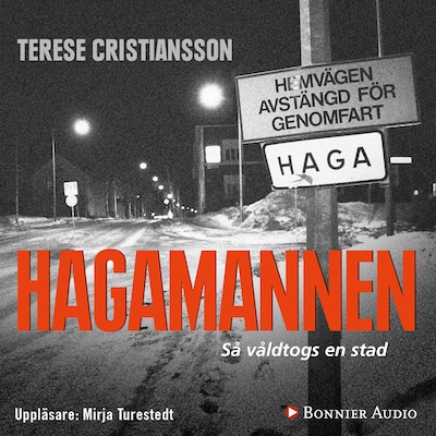 Hagamannen : så våldtogs en stad
