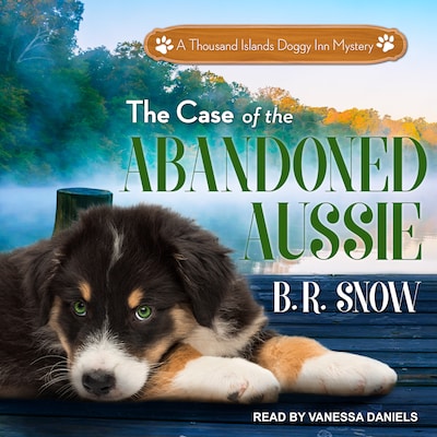 The Case of the Abandoned Aussie – omslag til lydbogen af B.R. Snow