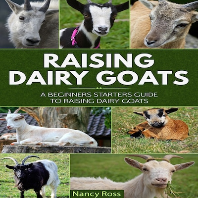 Raising Dairy Goats: A Beginners Starters Guide to Raising Dairy Goats – omslag til lydbogen af Nancy Ross