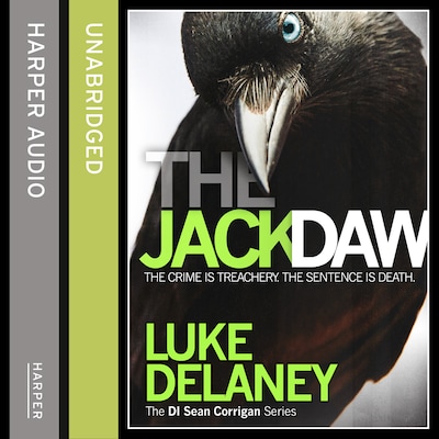 The Jackdaw