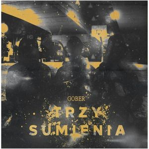 Trzy sumienia – okładka audiobooka, autor Gober