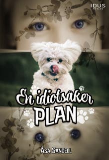 En idiotsäker plan