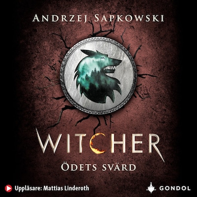 Ödets svärd : berättelser om Geralt av Rivia