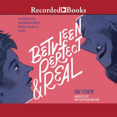 Between Perfect and Real – omslag til lydbogen af Ray Stoeve