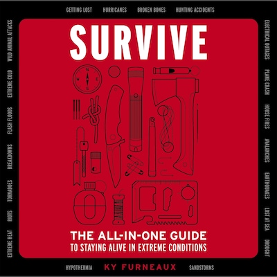 Survive – omslag til lydbogen af Ky Furneaux