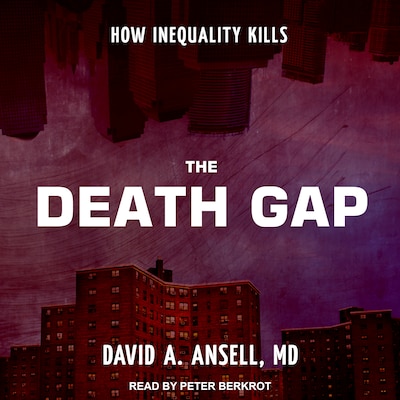 The Death Gap – omslag til lydbogen af David A. Ansell