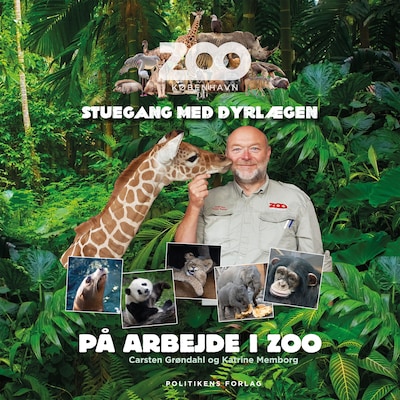 På arbejde i ZOO - Stuegang med dyrlægen – omslag til lydbogen af Katrine Memborg, Carsten Grøndal, Zoologisk Have