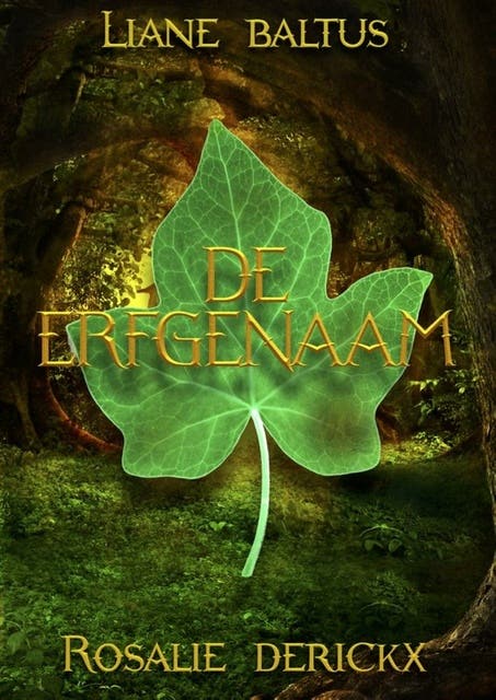 De erfgenaam – omslag van het luisterboek van Liane Baltus,Rosalie Derrickx