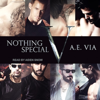 Nothing Special V – omslag til lydbogen af A.E. Via