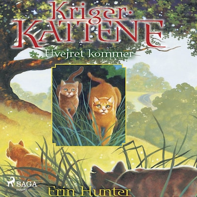 Krigerkattene 4: Uvejret kommer – omslag til lydbogen af Erin Hunter