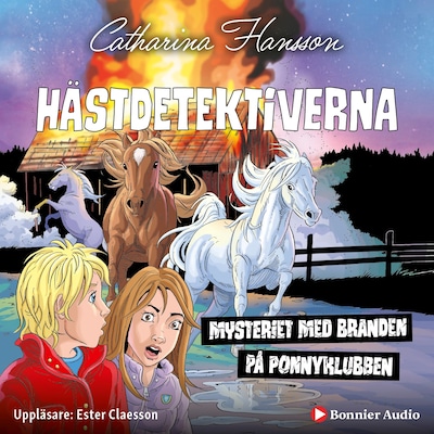Mysteriet med branden på ponnyklubben