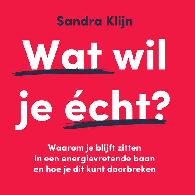 Wat wil je écht?: Waarom je blijft zitten in een energievretende baan en hoe je dit kunt doorbreken – omslag van het luisterboek van Sandra Klijn
