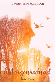 Morgonrodnad