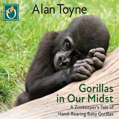 Gorillas in Our Midst – omslag til lydbogen af Alan Toyne