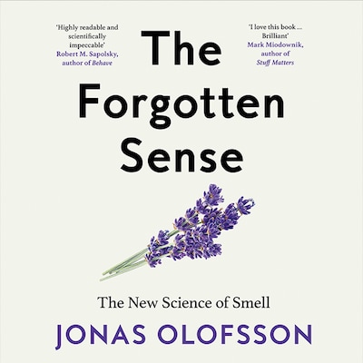 The Forgotten Sense