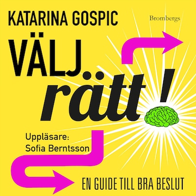 Välj rätt! : en guide till bra beslut