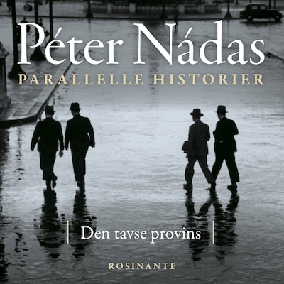 Parallelle historier 1 – omslag til lydbogen af Péter Nádas