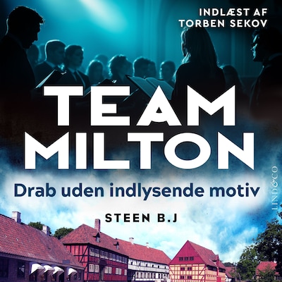 Drab uden indlysende motiv – omslag til lydbogen af Steen B. J.