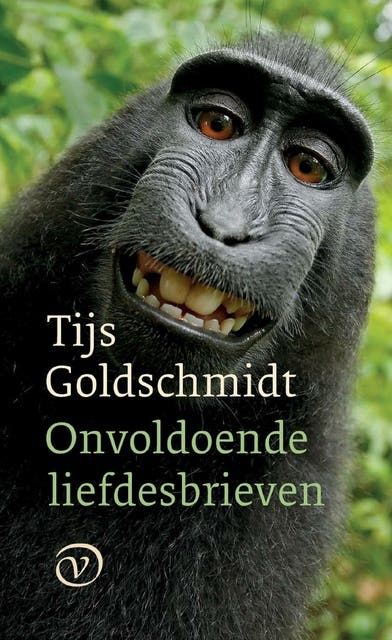 Onvoldoende liefdesbrieven – omslag van het luisterboek van Tijs Goldschmidt
