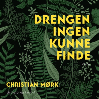 Drengen ingen kunne finde – omslag til lydbogen af Christian Mørk