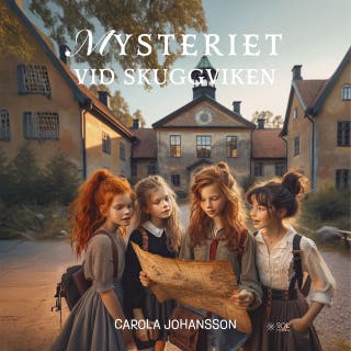 Mysteriet vid skuggviken