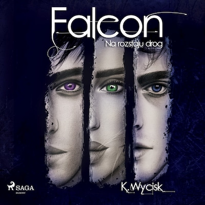 Falcon II Na rozstaju dróg – okładka audiobooka, autor Katarzyna Wycisk