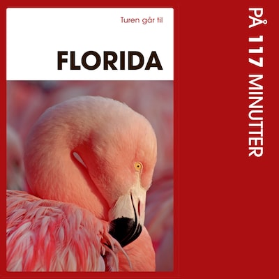 Turen går til Florida på 117 minutter – omslag til lydbogen af Morten Scholz