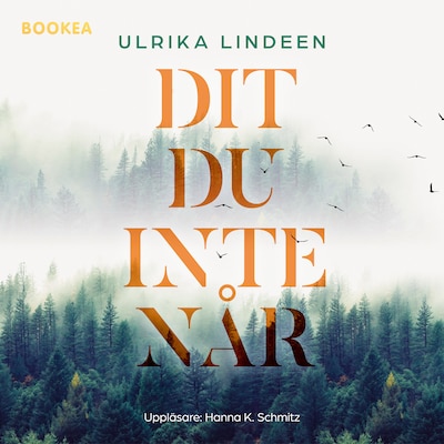Dit du inte når – omslag till ljudboken av Ulrika Lindeen