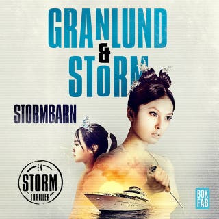 Stormbarn – omslag till ljudboken av Alex Storm,Anna Granlund