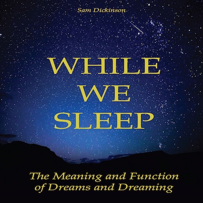 While we Sleep – omslag til lydbogen af Sam Dickinson