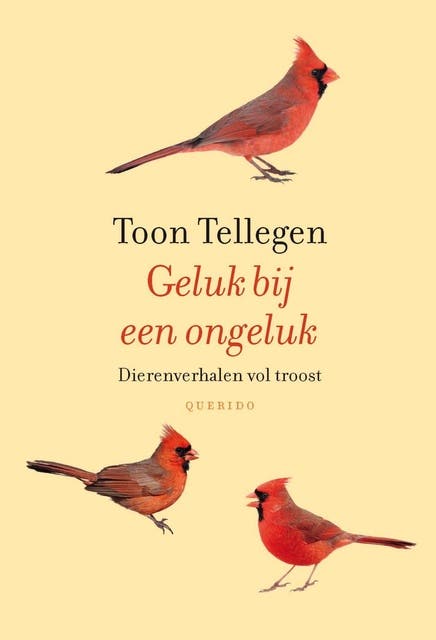Geluk bij een ongeluk: dierenverhalen vol troost