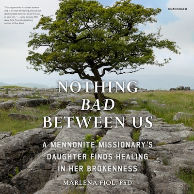 Nothing Bad between Us – omslag til lydbogen af Marlena Fiol