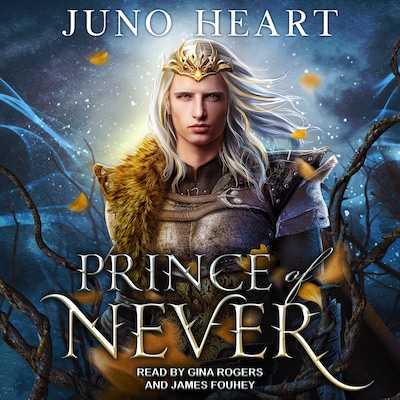 Prince of Never – omslag til lydbogen af Juno Heart