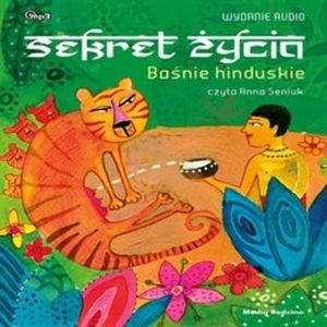 Baśnie hinduskie. Sekret życia – okładka audiobooka, autor N/A