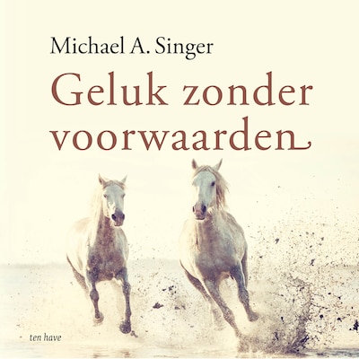 Geluk zonder voorwaarden